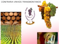 Confraria Dos Vinhos Trasmontanos, Programaçao